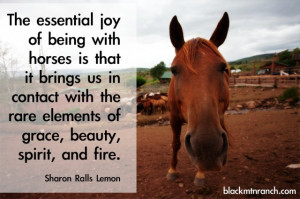 Essential Horse Quote