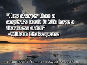 Say What I Mean, but I Don't Say it Meanly