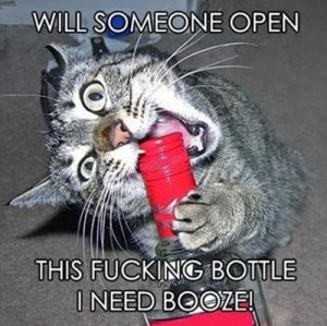 Will someone open this bottle? I need booze!