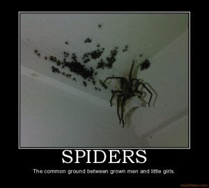 SPIDERS - The common ground between grown men and little girls.