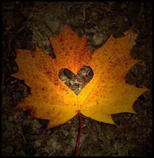 Fall Leaves Quotes Autumn leaf heart