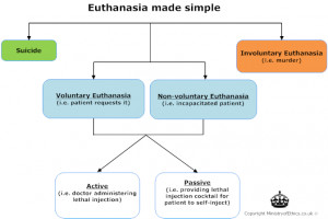 Pro Euthanasia Facts Key legal facts regarding