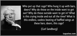 Who put up that cage? Who hung it up with bars, doors? Why do those on ...