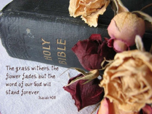 Mothers Day Quotes Comments and Graphics Codes!