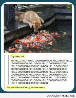 Funny animals and funny pictures with saying and quotes