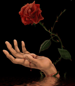 3D Animated Red Rose Droping Blood Wallpaper
