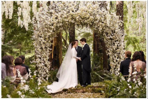 The Inside Story on the Wedding Dress from Breaking Dawn