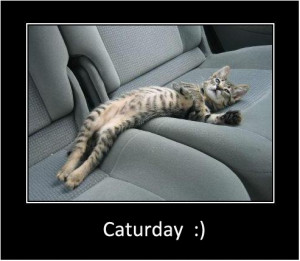 What is Caturday?