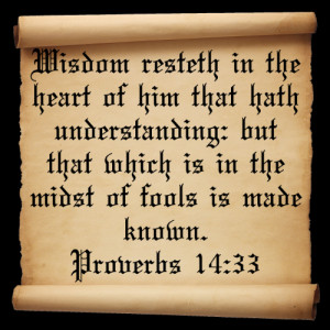 Is Understanding Equal to Wisdom