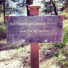 You will find your true self when you get back to nature!