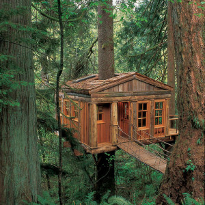 Amazing Tree House Wallpapers