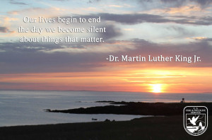 Photo of a bautiful sunset over the ocean with a quote by Doctor ...