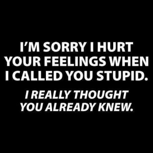 sorry I hurt your feelings when I called you stupid. I really ...