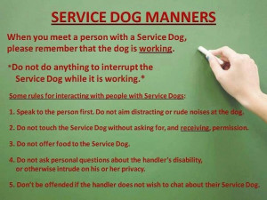 Service Dog Manners- Good to know