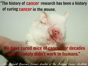 Reasons Why Animal Testing Doesn’t Help Humans