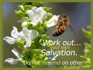 Buddha Quotes About Love: Work Out Your Own Salvation And Do Not ...