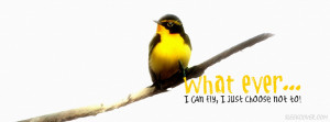 Whatever I Can Fly I Just Choose Not To - Birds Quote