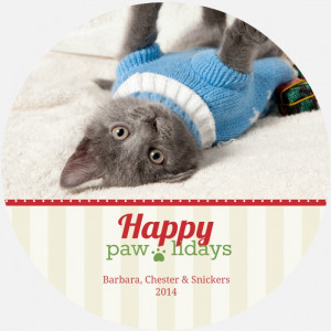 Holiday Card Sayings & Wording: Cat, Dog, Funny, Family, Religious ...