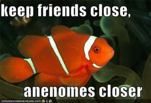 funny fishing pictures with captions