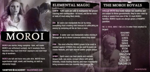 Vampire Academy Infographics