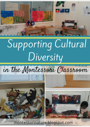 Supporting Cultural Diversity in the Montessori Classroom.
