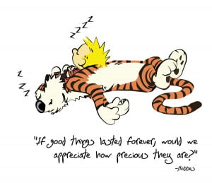 Calvin And Hobbes Quotes Hobbes quote by lizink
