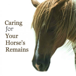 Caring for Your Horse’s Remains