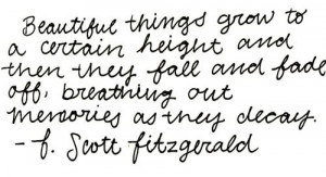 Scott Fitzgerald- all time fave Fitzgerald quote
