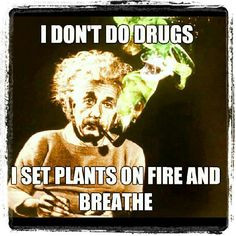 weed #lol #quotes marijuanachecks.com More