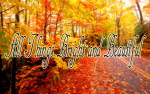 Funny Quotes Contact Dmca