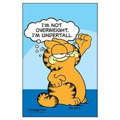 Garfield quote I'm not overweight, I'm undertall