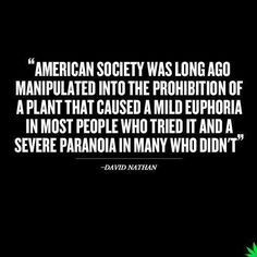 Interesting quote about cannabis prohibition