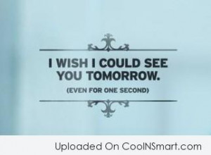 Missing You Quote: I wish I could see you tomorrow....