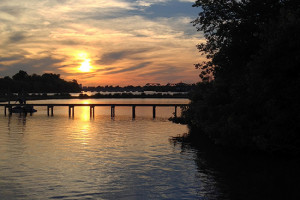 university faculty and members of environmental organizations a true ...