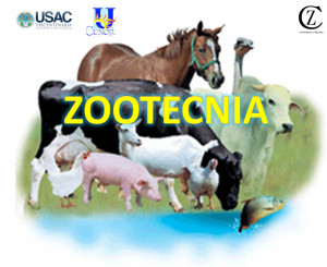 Zootecnia Ciencia Arte Cria Manejo Explotacion