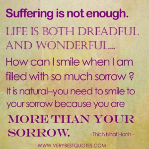Thich Nhat Hanh Quotes – suffering is not enough