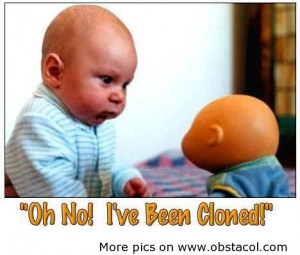 and sayings about life awesome funny quotes short funny quotes