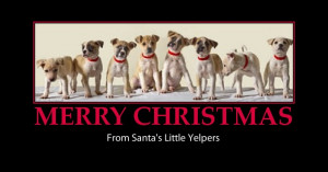 merry christmas greetings-cute dogs-santa's yelpers-funny