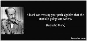 black cat crossing your path signifies that the animal is going ...