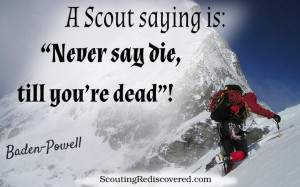 Scouting For the Long Haul