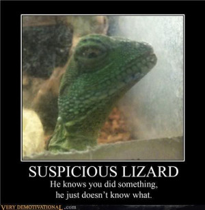 Re: Funny Reptile Pictures [Image heavy]