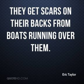 Eric Taylor - They get scars on their backs from boats running over ...