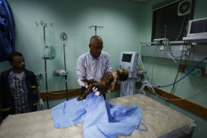 Nowhere to Run”: Israel Fires Over 500 Strikes in Gaza, Civilian ...