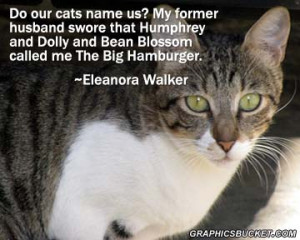 cat quotes famous cat quotes cute cat quotes curiosity killed the cat ...