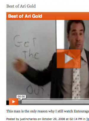 Ari Gold Picture