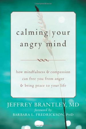 The Anger Fallacy Uncovering the Irrationality of the Angry Mindset by ...