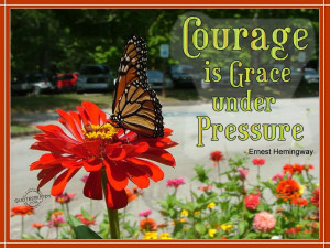 This picture was submitted by Gurinder jeet.