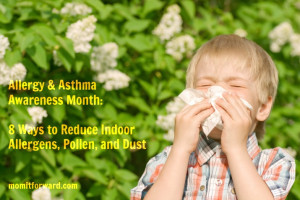 Tips to Reducing Indoor Allergens and Pollen