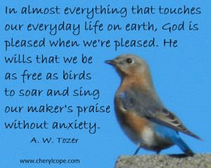 sing our maker s praise without anxiety a w tozer