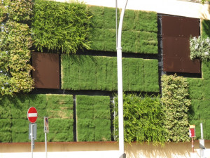 Vertical Green Wall. Florence, Italy
